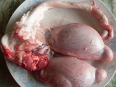 Ngọc Dương dê Hùng Triều